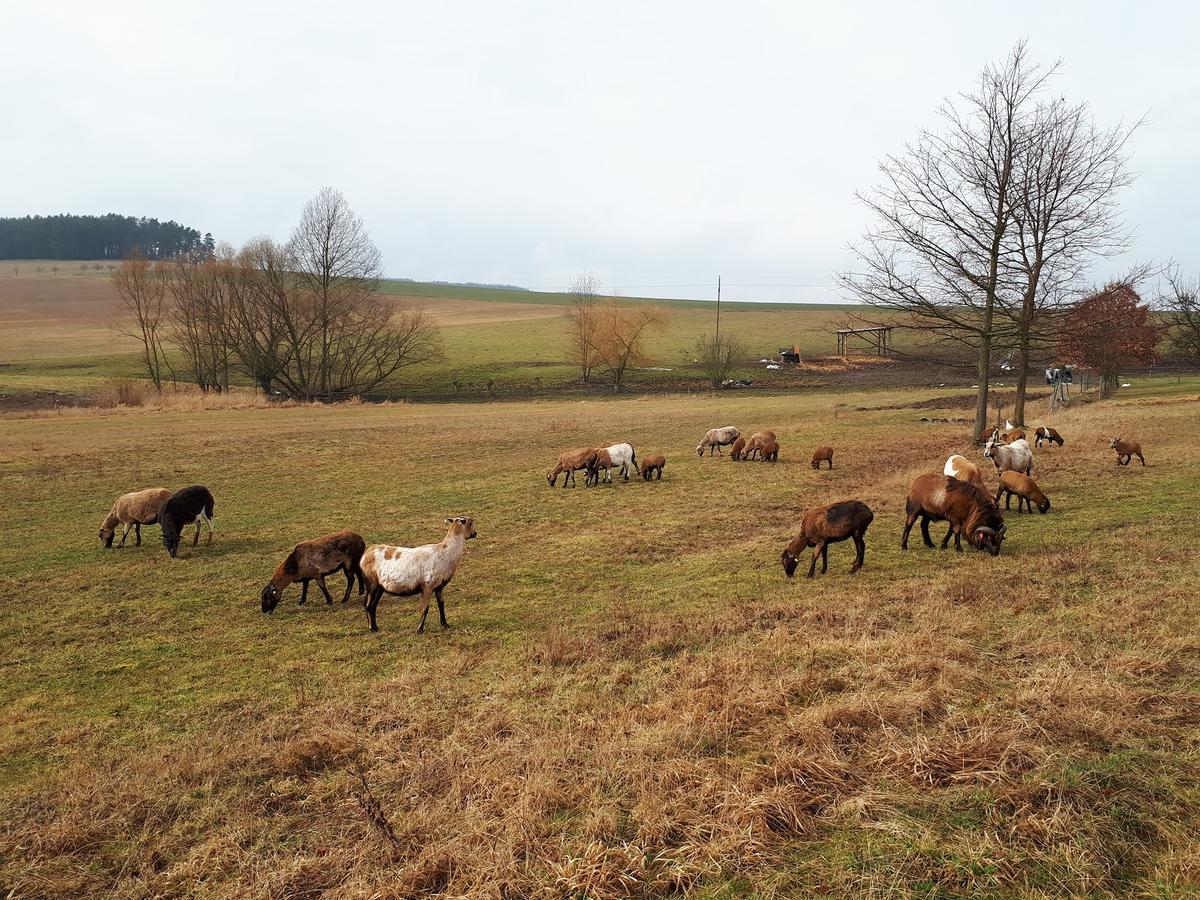 Podkrovi V Jihoceskem Statku Nemejice Exterior foto